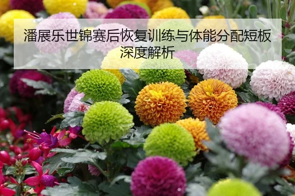 潘展乐世锦赛后恢复训练与体能分配短板深度解析